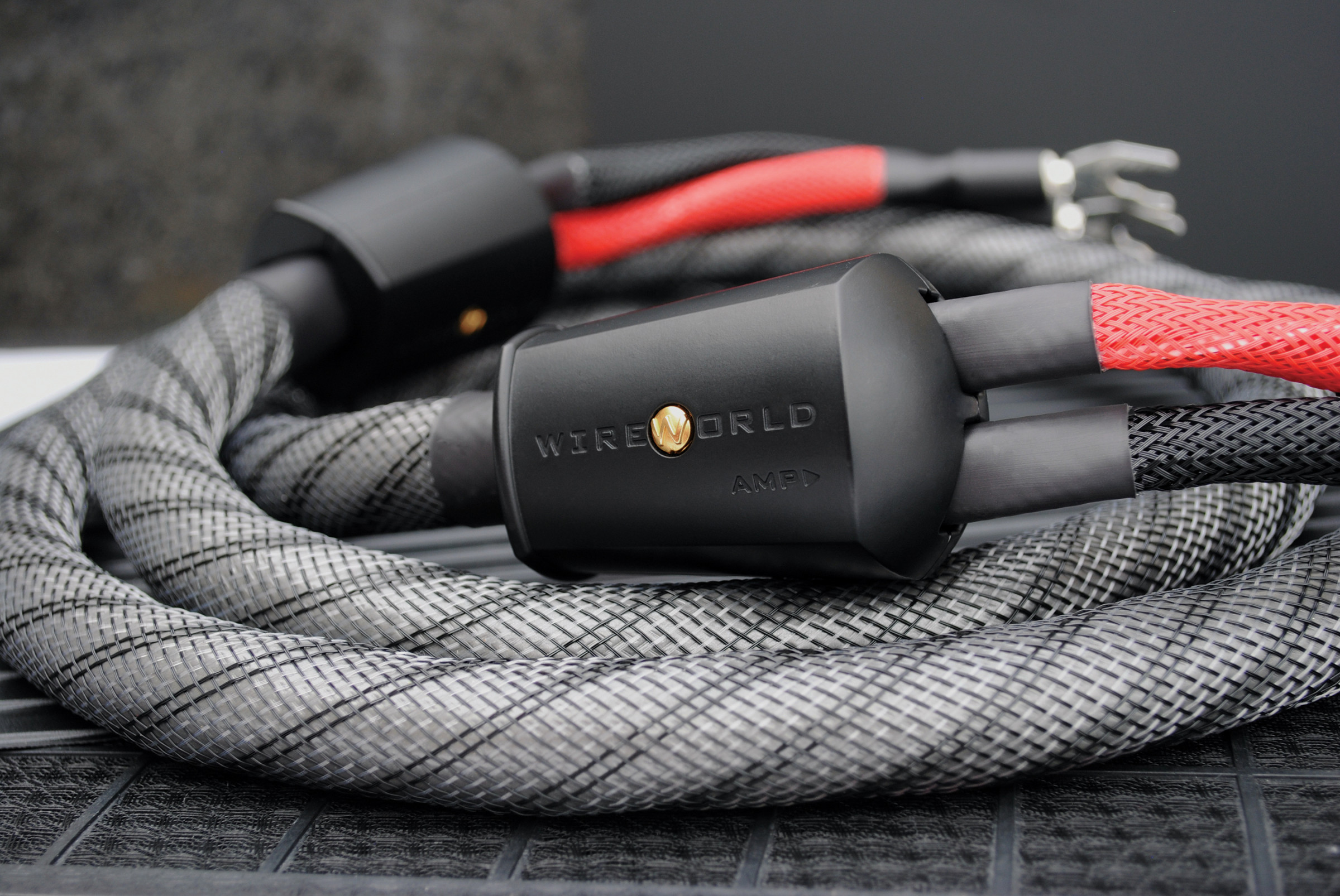 Auditorium Wireworld Cable Silver Eclipse 10 Lautsprecherkabel 207679 - 3